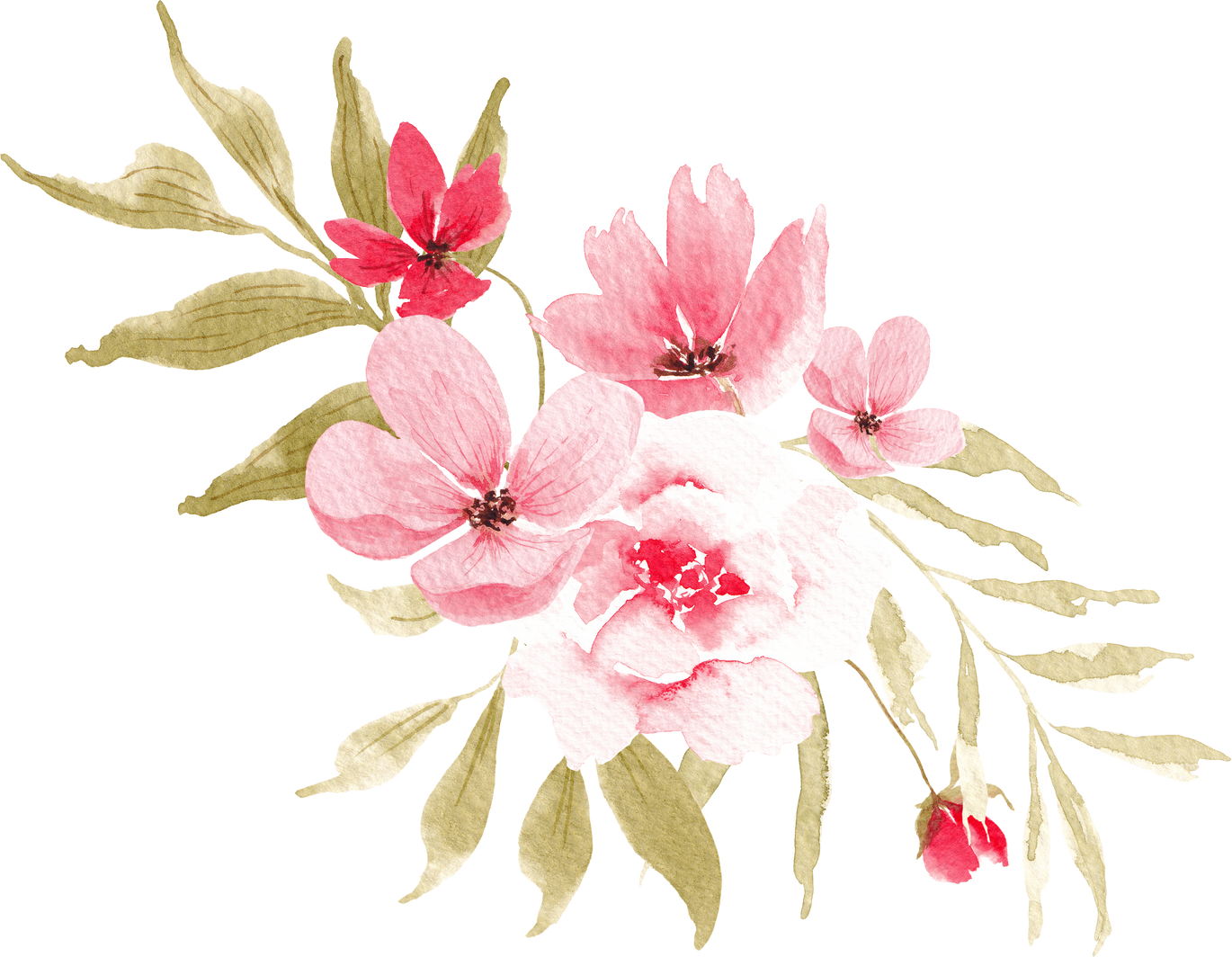 Pink Watercolor Flowers Illustration
